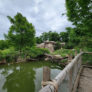 Cincinnati Zoo 5/22 - Africa, predator / prey setup