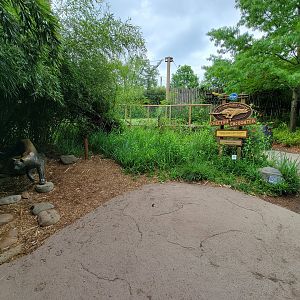 Cincinnati Zoo 5/22 - Cheetah Encounter