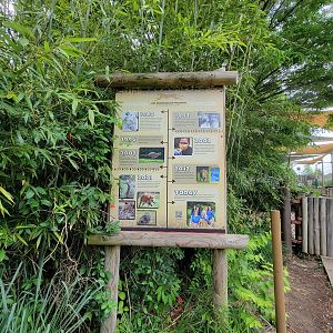 Cincinnati Zoo 5/22 - Cheetah Encounter, history of their cheetah program