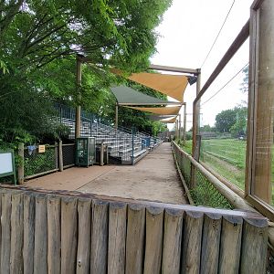 Cincinnati Zoo 5/22 - Cheetah Encounter, bleachers