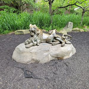 Cincinnati Zoo 5/22 - Africa, lion statue