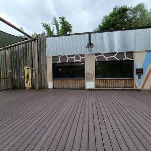 Cincinnati Zoo 5/22 - Giraffe Ridge, barn viewing