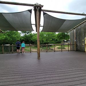 Cincinnati Zoo 5/22 - Giraffe Ridge