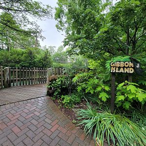 Cincinnati Zoo 5/22 - Gibbon Island