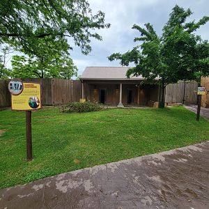 Cincinnati Zoo 5/22 - Roo Valley, kangaroo walk-through