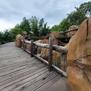 Cincinnati Zoo 5/22 - Roo Valley, little blue penguin exhibit path above
