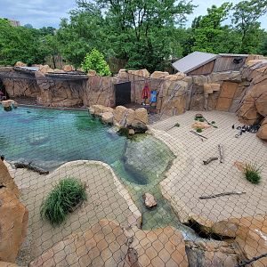 Cincinnati Zoo 5/22 - Roo Valley, little blue penguin exhibit from above