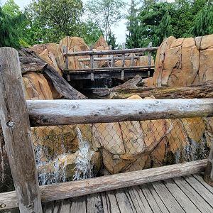 Cincinnati Zoo 5/22 - Roo Valley, little blue penguin exhibit path above