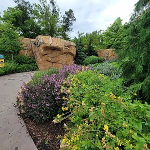 Cincinnati Zoo 5/22 - Roo Valley, little blue penguin exhibit path above