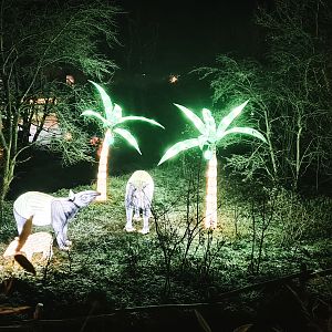Tapirs on Spider Monkey house