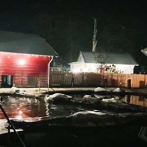 Sea Lion enclosure at night