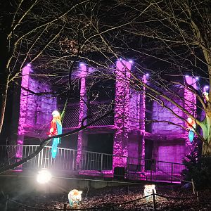 Orangutan enclosure with lights