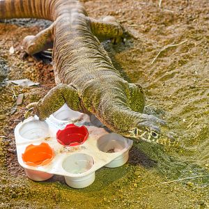 Spencer's Monitor Enclosure