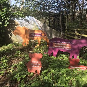 Asiatic lion signage