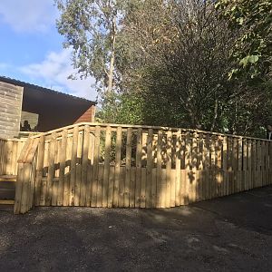 Refurbished gelada viewing platform