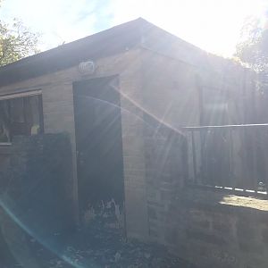 Visayan warty pig house