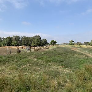 Antelope and Ostrich Paddock