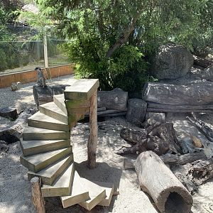 Meerkat Exhibit