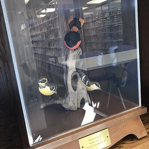 Randolph County Public Library: Baltimore Orioles Carving