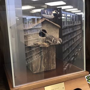 Randolph County Public Library: European Sparrow Carvings