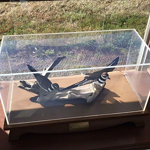 Randolph County Public Library: Killdeer Carvings