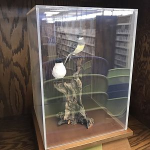 Randolph County Public Library: Eastern and Western Kingbird Carvings