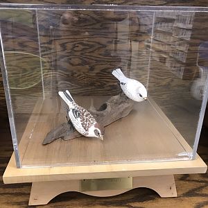 Randolph County Public Library: McKay's Bunting Carvings