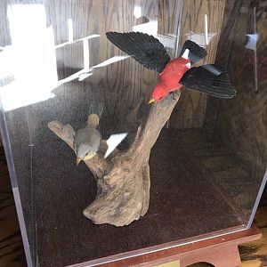 Randolph County Public Library: Scarlet Tanager Carvings