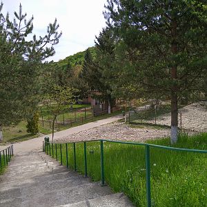 park