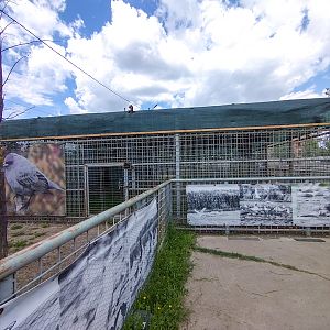 enclosure - former bis cats