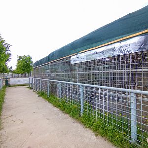 enclosure - former bis cats