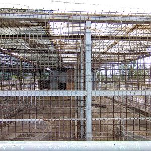 enclosure - former big cats