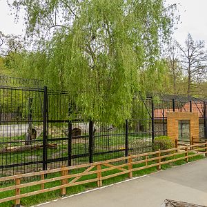 enclosure brown bear