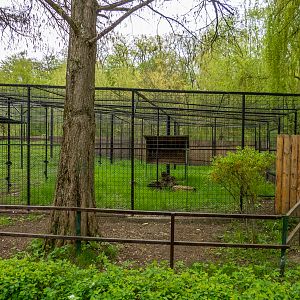 enclosure jaguar