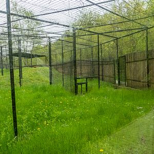 enclosure jaguar