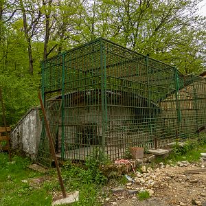 old enclosure - empty