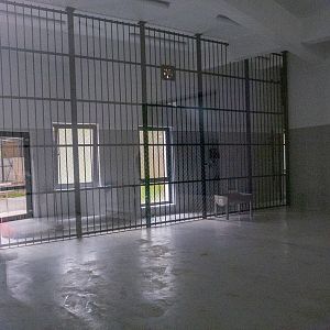 enclosure big cats (lion / jaguar)