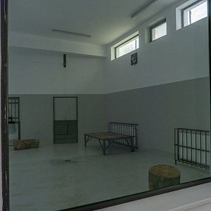 enclosure big cats (lion / jaguar)