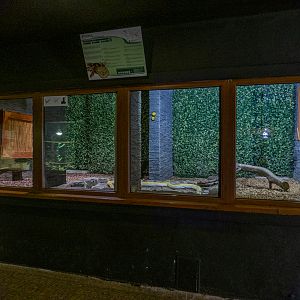 enclosure reticulated python