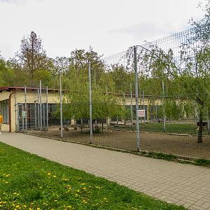 enclosure waterfowl, pelicans, Patagonian mara