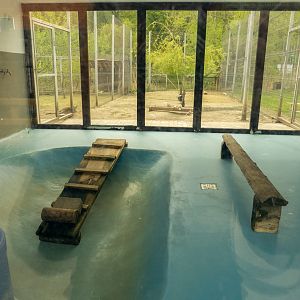 example of enclosure waterfowl, pelicans, Patagonian mara