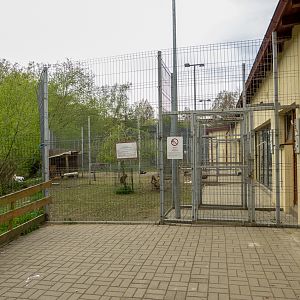 enclosure waterfowl, pelicans, Patagonian mara