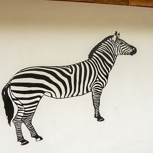 zebra house