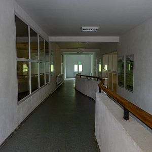 zebra / Struthioniformes house