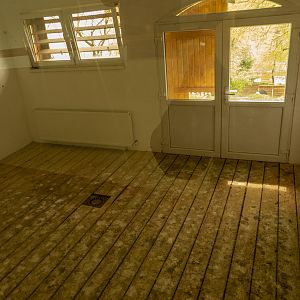 enclosure Struthioniformes