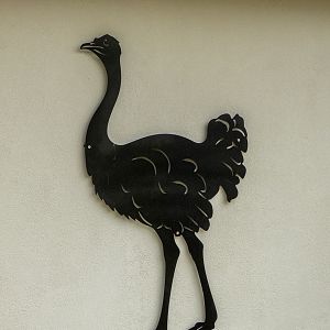 ostrich house