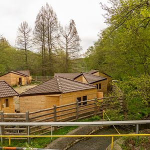 construction side - farm animals