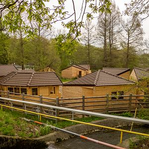 construction side - farm animals