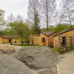 construction side - farm animals