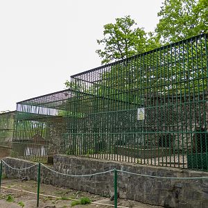 enclosure brown bear
